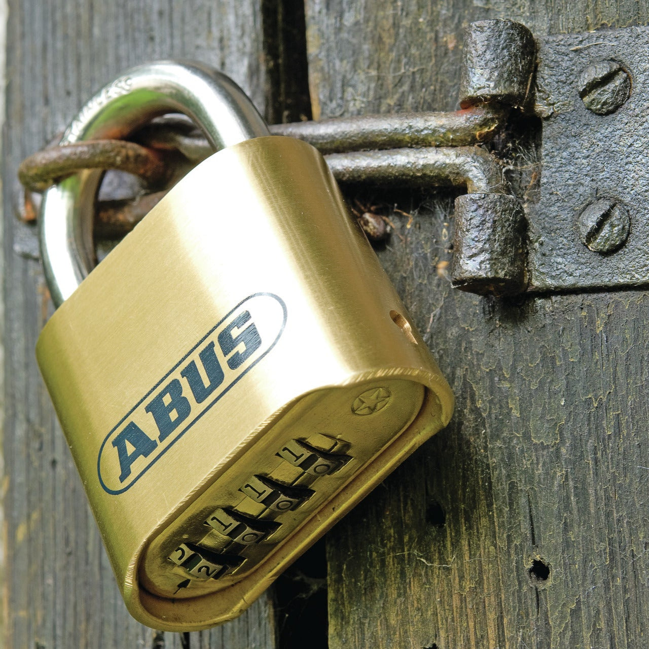 ABUS Combination Padlocks